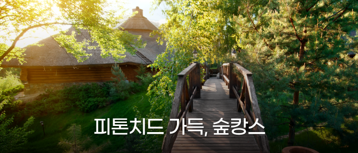 피톤치드 가득,숲캉스