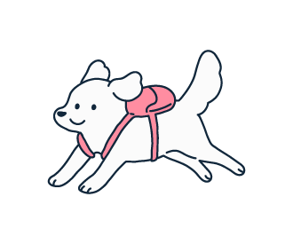 반려견 동반 나들이 명소5